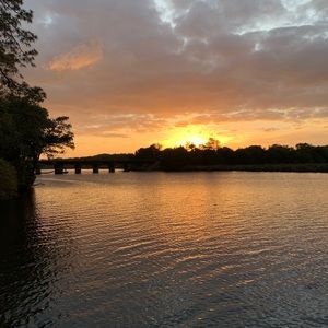 Meet your Posher, Gracie